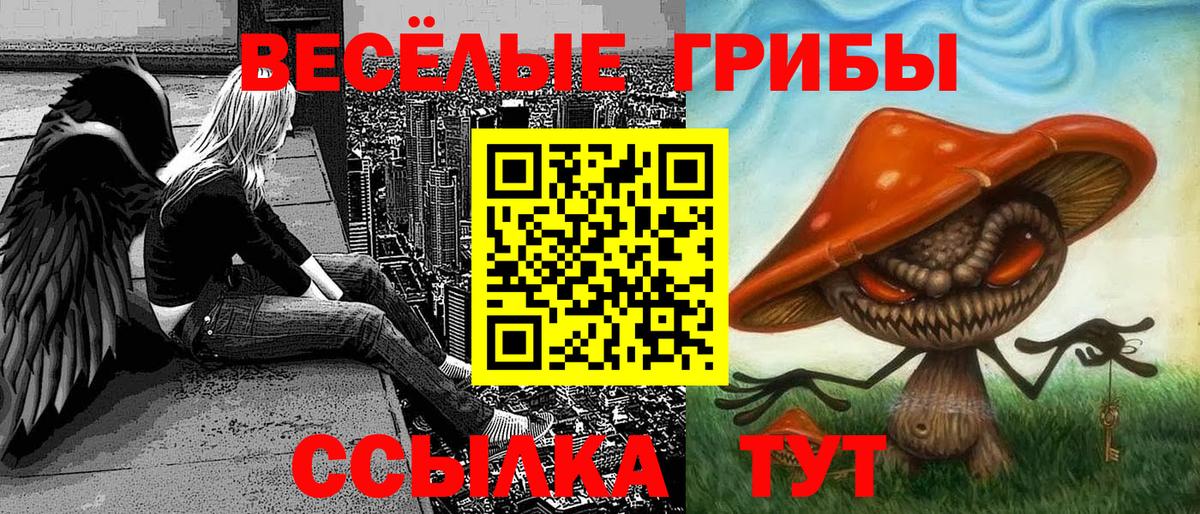 Чита  Галлюциногенные грибы прущие грибы  Вход с VPN 