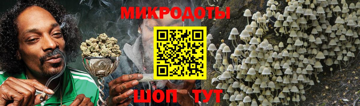 Псилоцибиновые грибы Psilocybe  Чита 