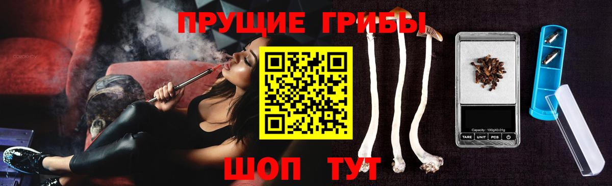 Псилоцибиновые грибы мицелий Чита